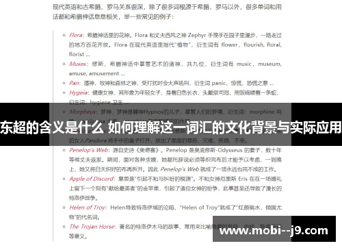 东超的含义是什么 如何理解这一词汇的文化背景与实际应用
