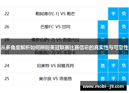 从多角度解析如何辨别英冠联赛比赛信息的真实性与可靠性
