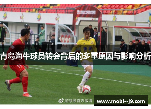 青岛海牛球员转会背后的多重原因与影响分析 青岛海牛球员转会背后的多重原因与影响分析