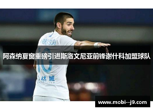 阿森纳夏窗重磅引进斯洛文尼亚前锋谢什科加盟球队
